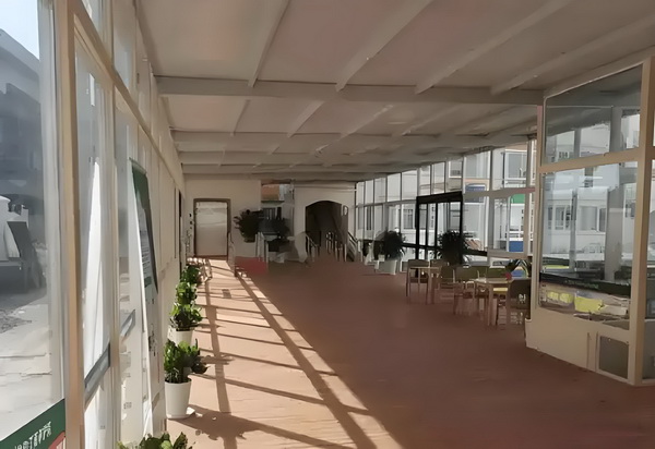 庶压群芳